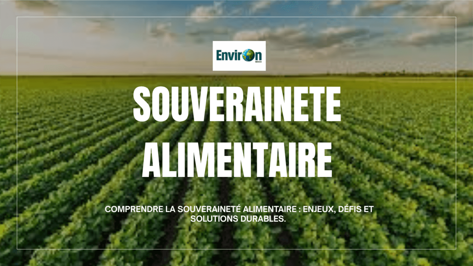 Comprendre la Souveraineté Alimentaire : Enjeux, Défis et Solutions Durables.