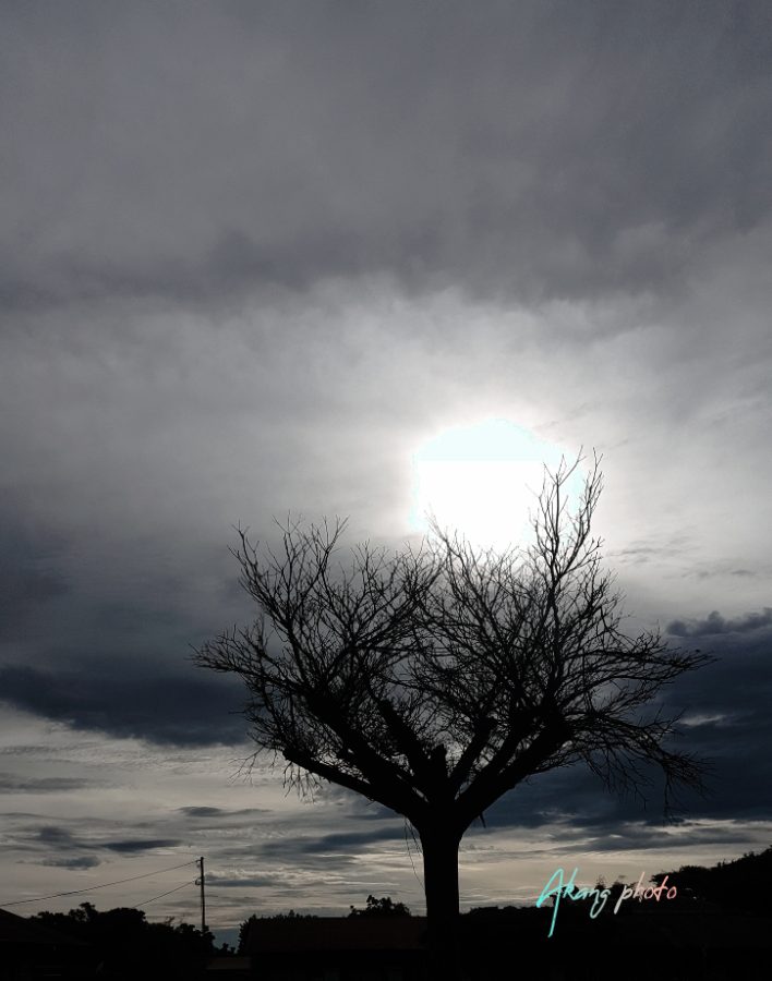 Pourquoi les pluies deviennent-elles imprévisibles ?